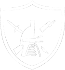 Night raiders
