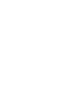 gun