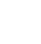 Tiger Face